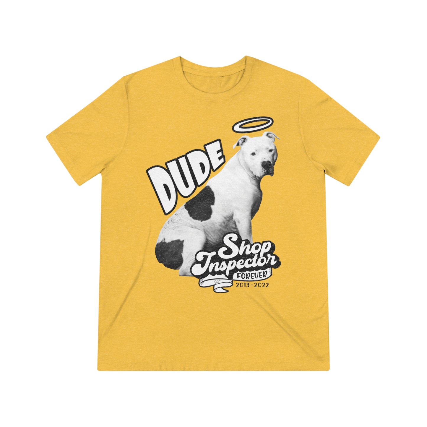 "Dude" Unisex Triblend Tee