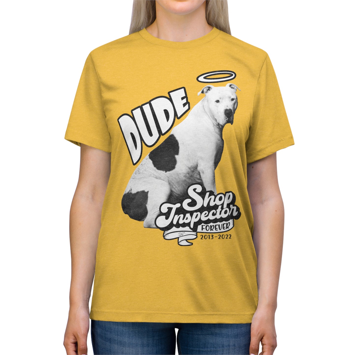 "Dude" Unisex Triblend Tee