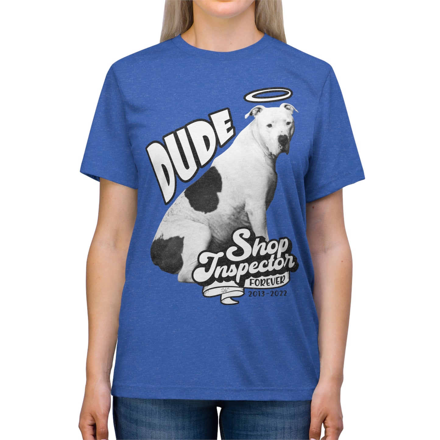 "Dude" Unisex Triblend Tee