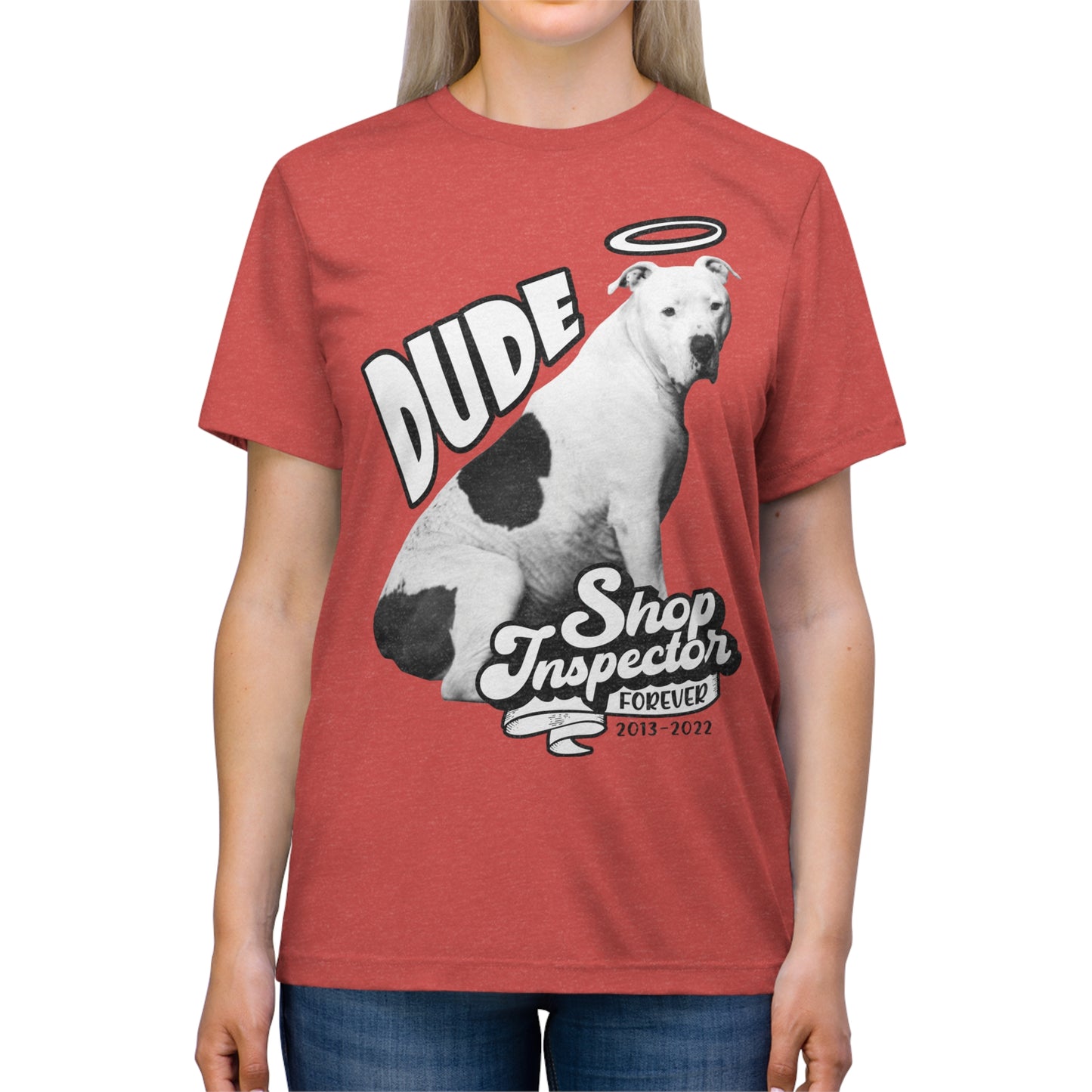 "Dude" Unisex Triblend Tee