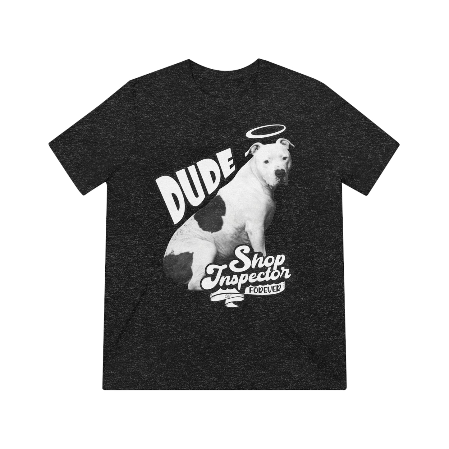 "Dude" Unisex Triblend Tee