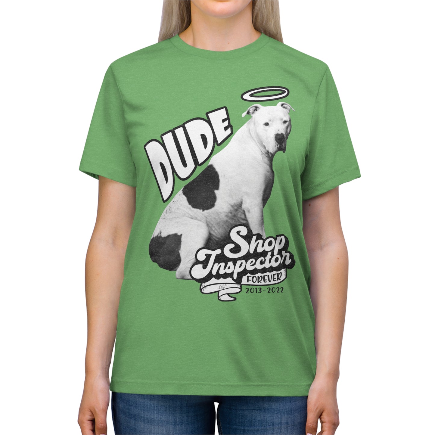 "Dude" Unisex Triblend Tee