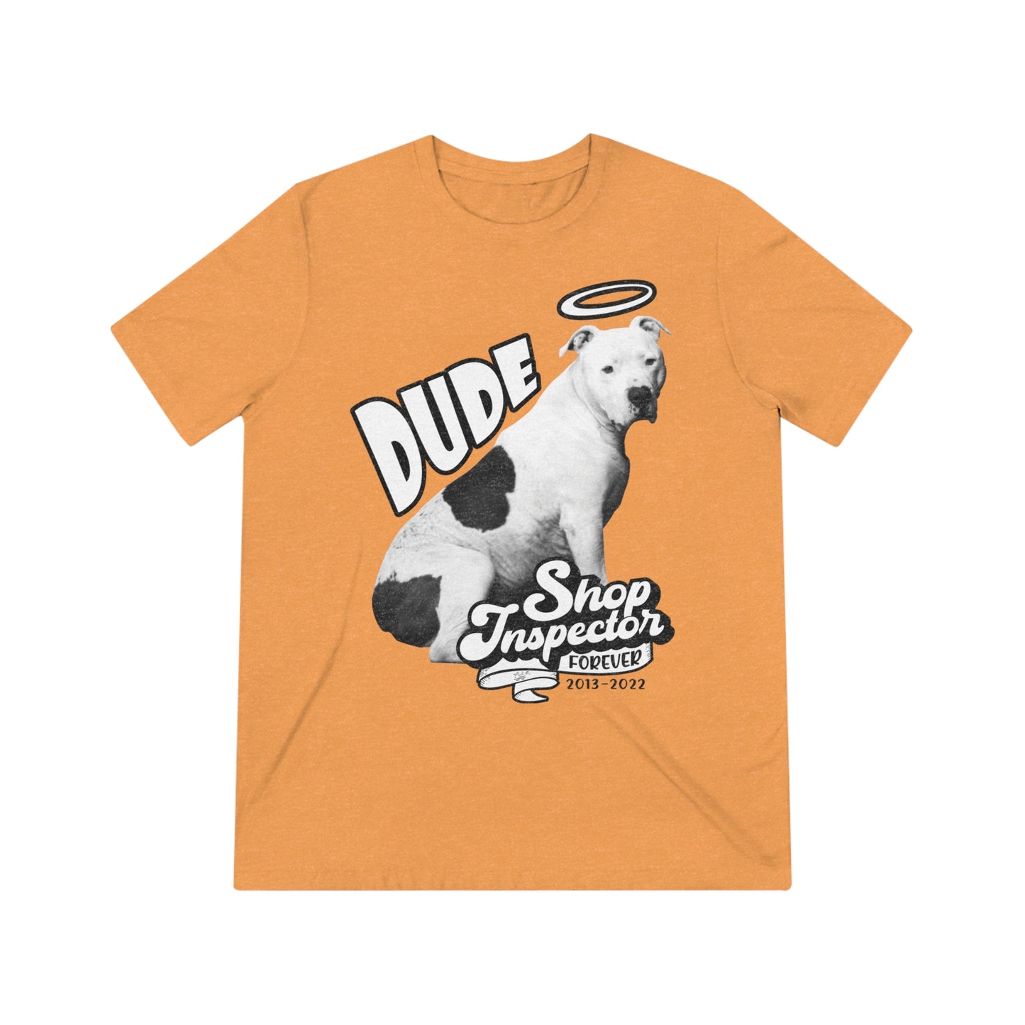 "Dude" Unisex Triblend Tee