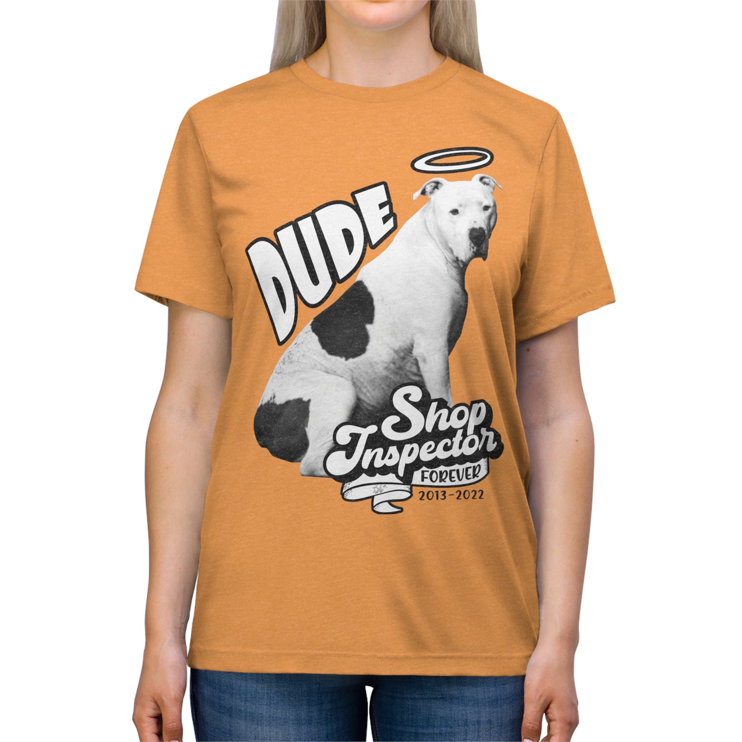 "Dude" Unisex Triblend Tee