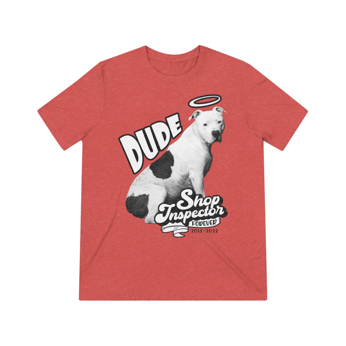 "Dude" Unisex Triblend Tee